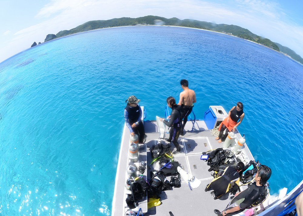 年間1,000本以上！ツアーの数がすごい！