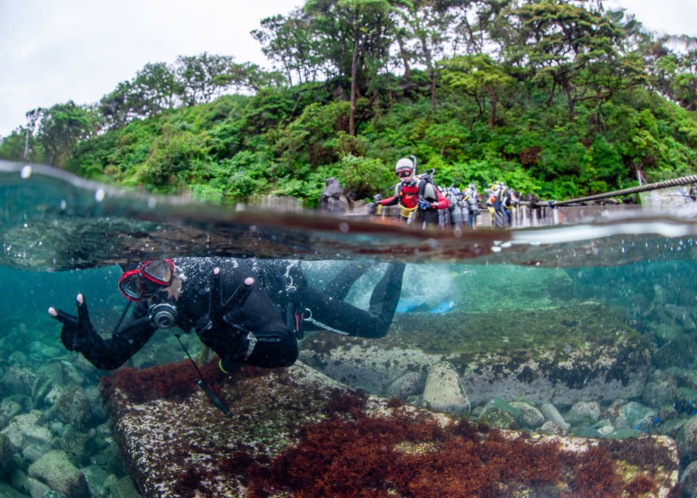 ファンダイビングツアーが多いショップ