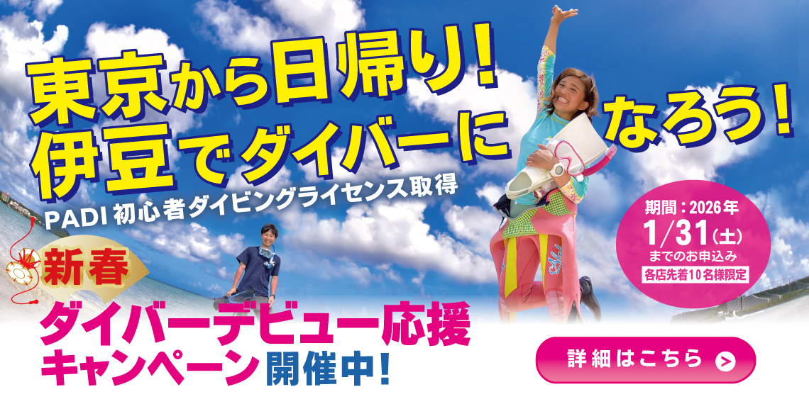 PADI 初心者ダイビングライセンスキャンペーン 詳細はこちら