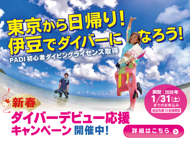 PADI 初心者ダイビングライセンスキャンペーン 詳細はこちら