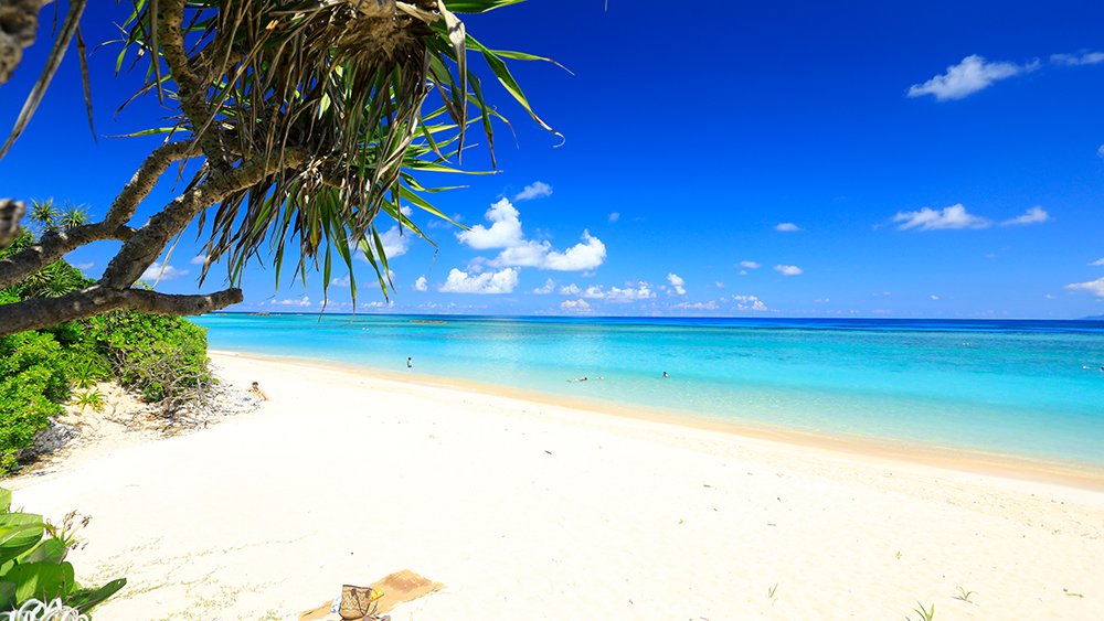 沖縄でダイビングライセンスを取るメリット