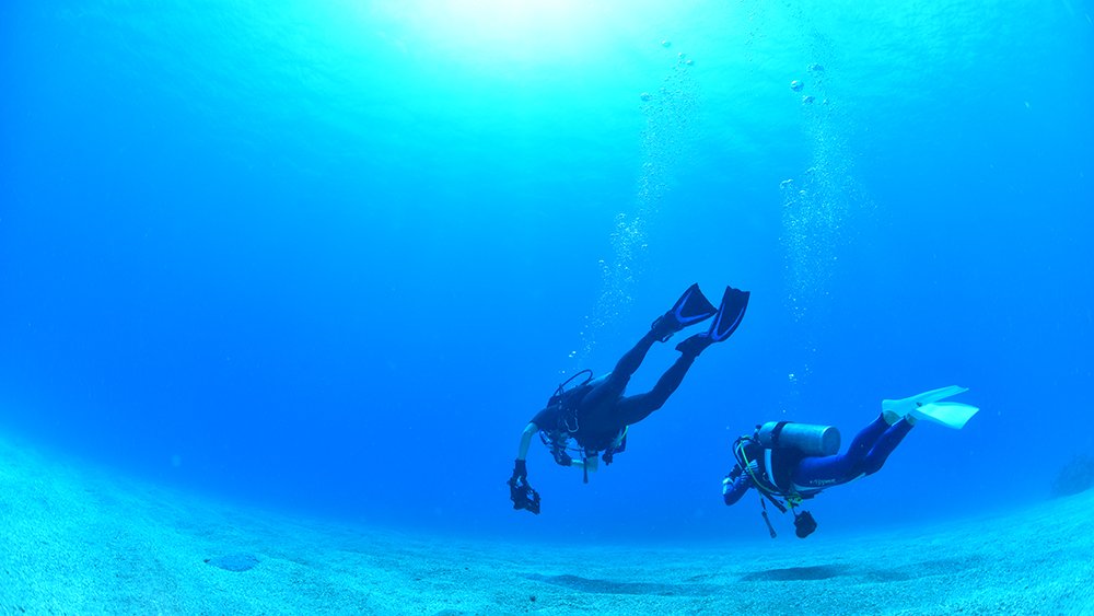ステップアップコースが充実しているショップ