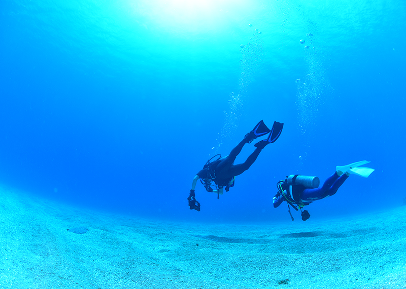ステップアップコースが充実しているショップ