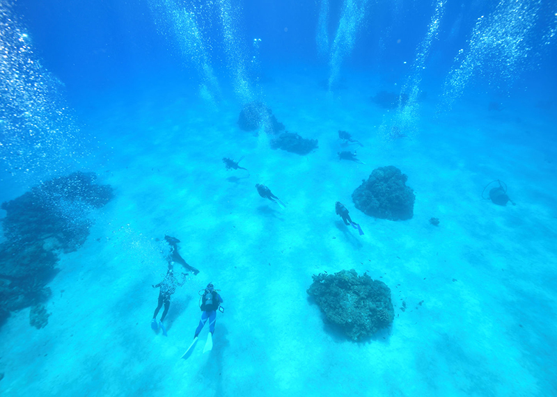 透明度の高い海