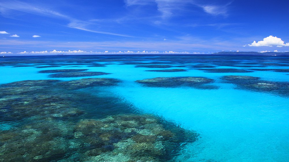 ダイビングライセンスの種類をご紹介