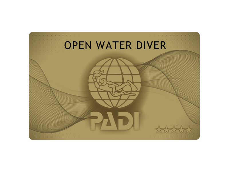 ゴールド Cカード