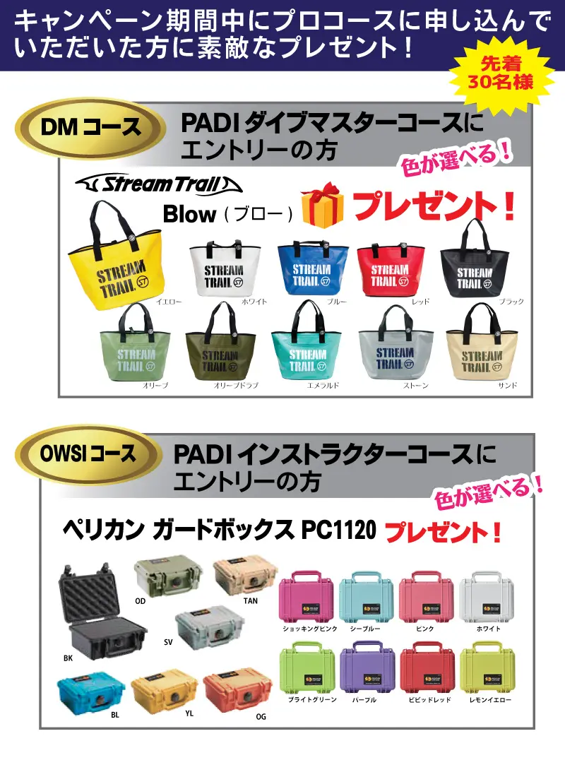 プロコースチャレンジキャンペーン - パパラギダイビングスクールで