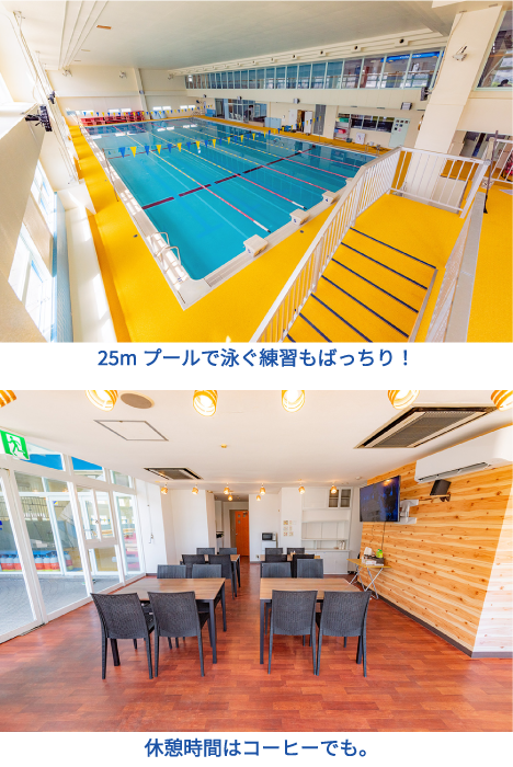 夏準備、ラストチャンス。ダイバーデビューキャンペーン | パパラギ