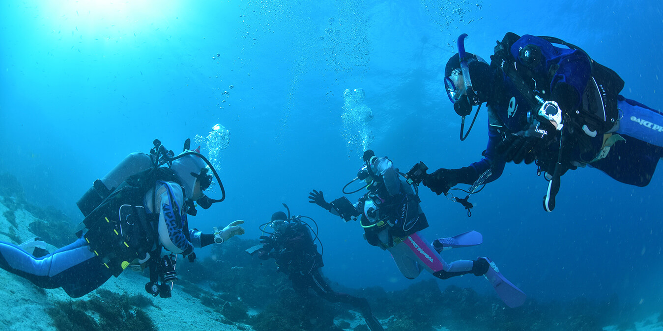 プラチナ ドライ・SP