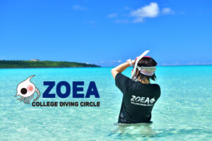ダイビングサークルZOEA