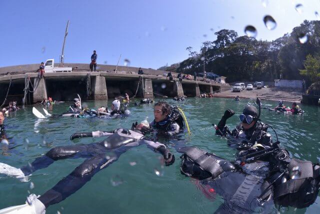 ダイブマスタートレーニング