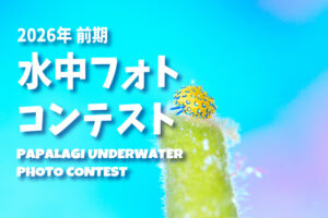 2026年フォトコン前期募集