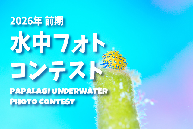 2026年フォトコン前期募集