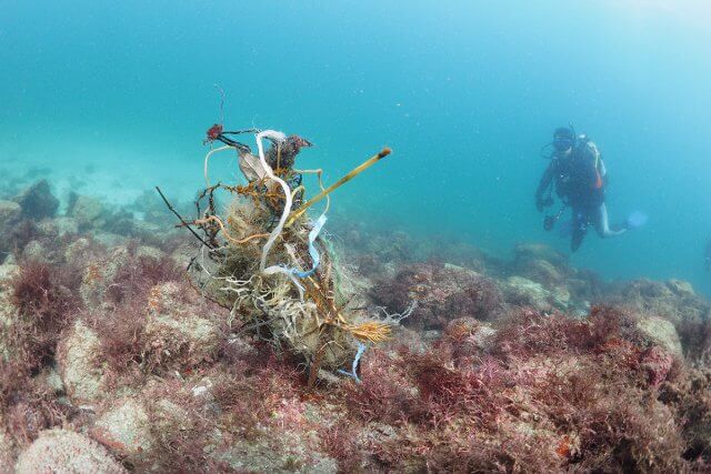 海洋プラスチックごみ問題