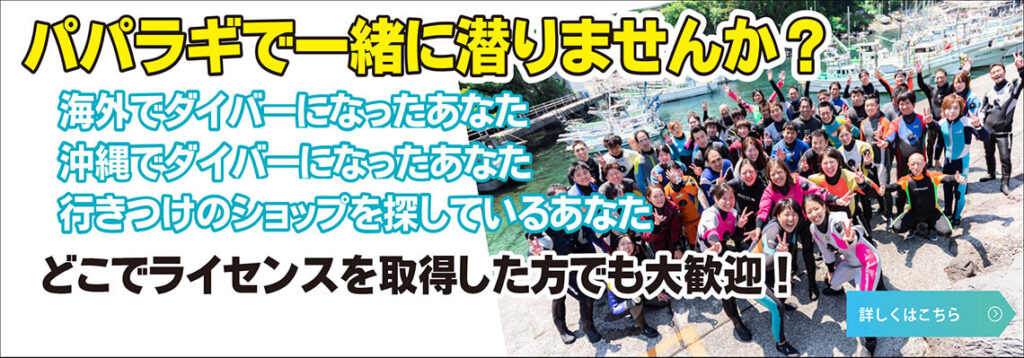パパラギで一緒にもぐりませんか？