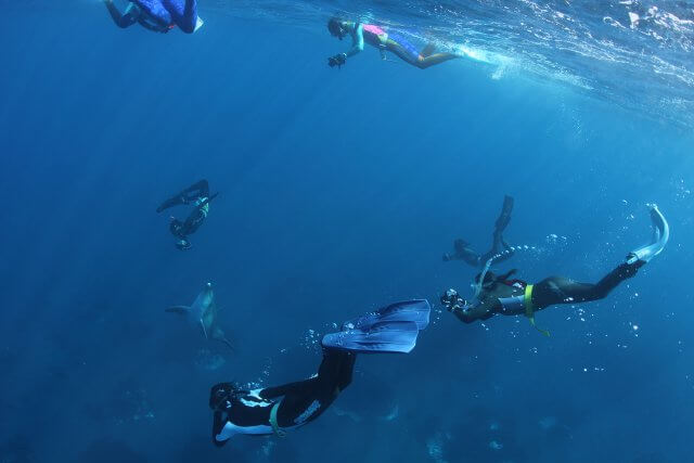 スキンダイビング