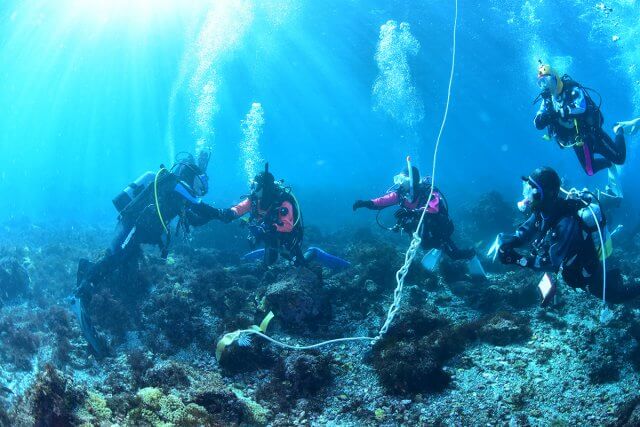 ディープ・サーチ&リカバリー