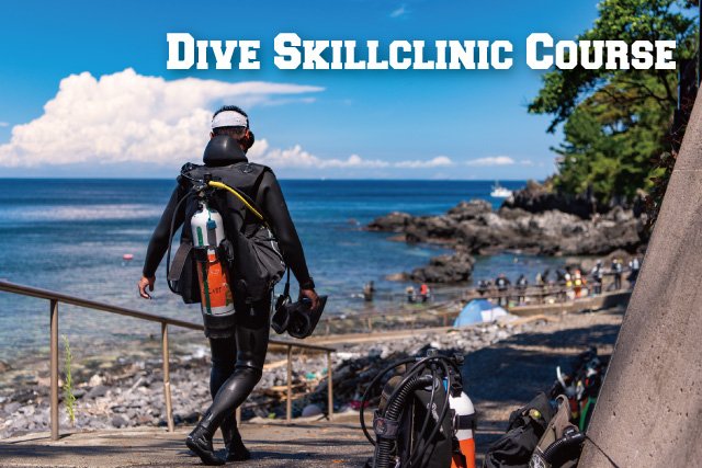 プラチナ　ダイブスキル