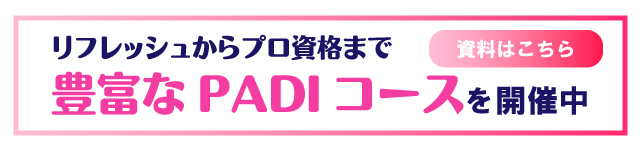 資料ダウンロードはこちら