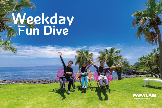 海の中　幸せな平日編