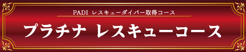 プラチナレスキューコース