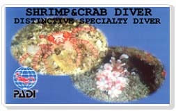 エビ・カニSPCカード