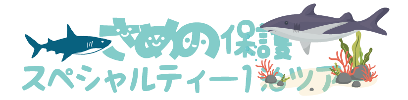 サメの保護スペシャルティー