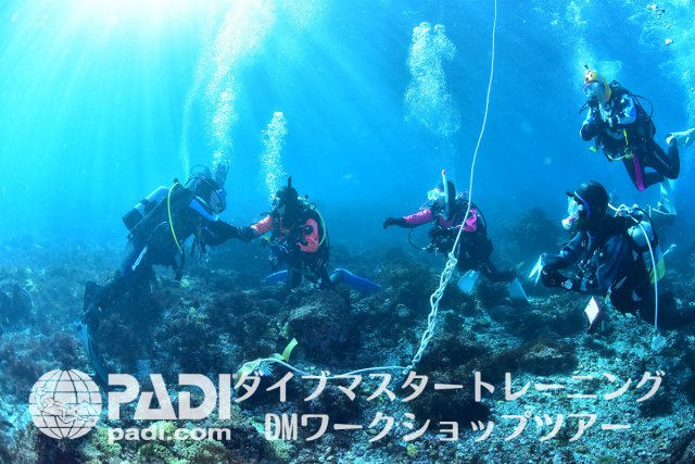 DMワークショップツアー