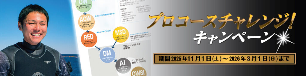 プロコースキャンペーンはこちら