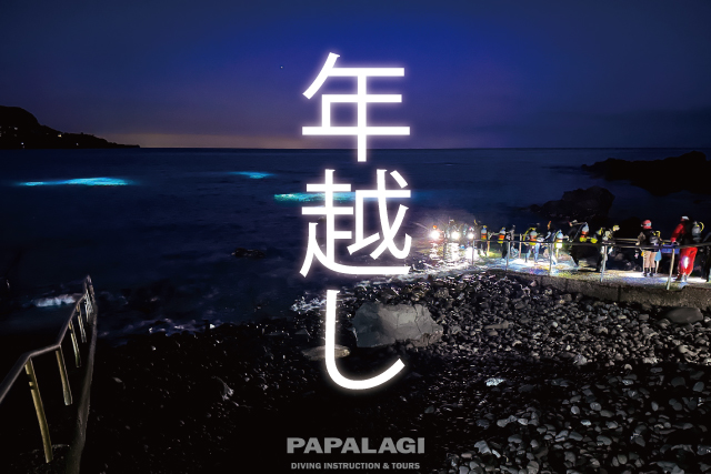 年越しダイブツアー