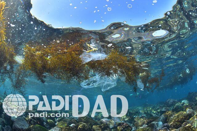 PADIダイブ・アゲインスト・デブリー・スペシャルティ