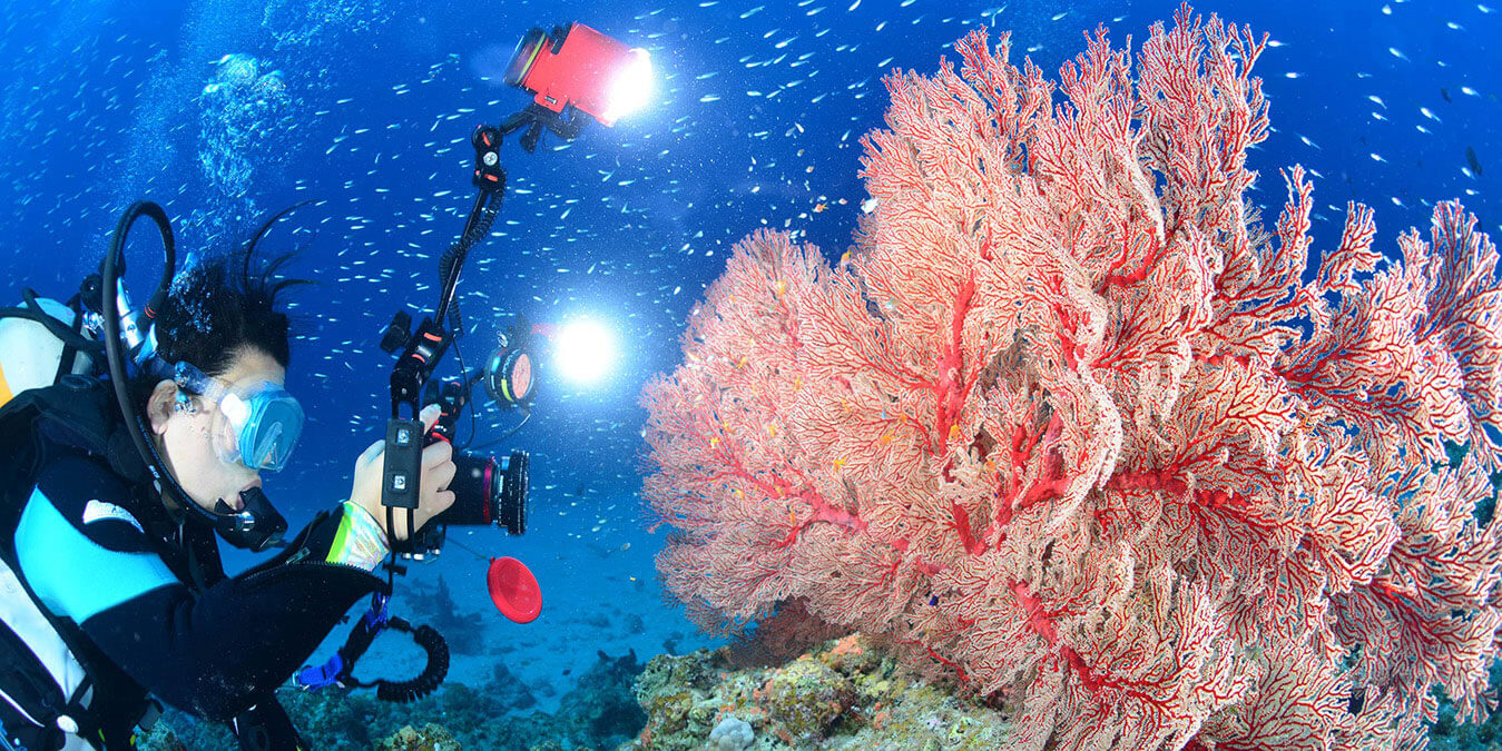 PADIデジタルU/Wフォトグラファー