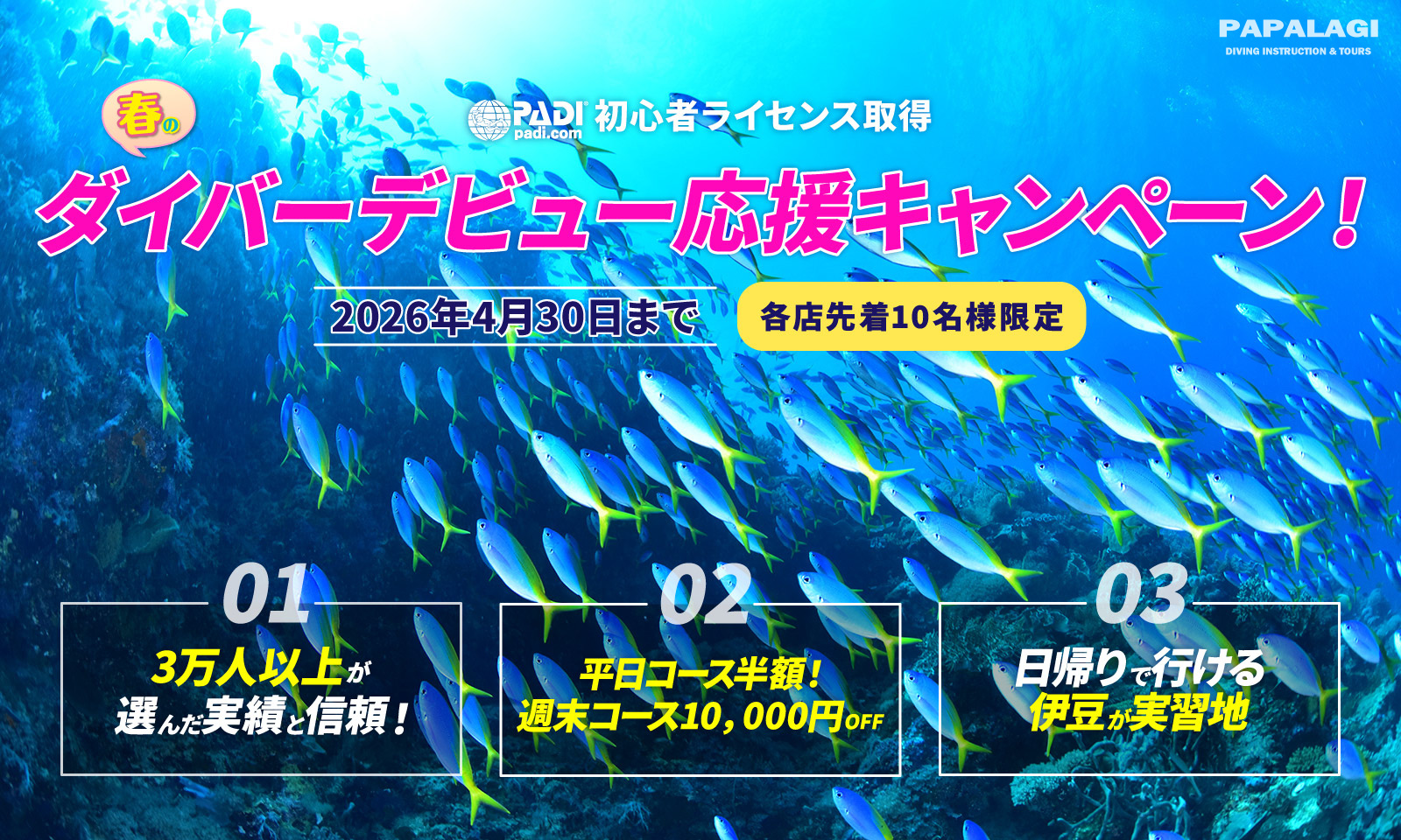 春のダイバーデビュー応援キャンペーン！_B