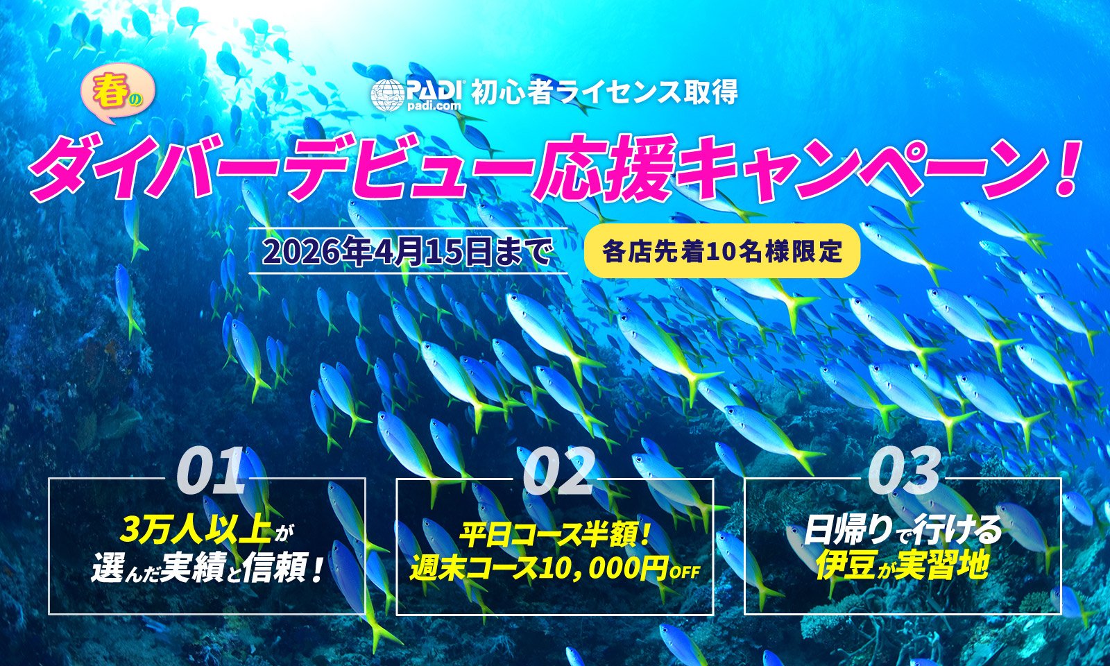 春のダイバーデビュー応援キャンペーン！