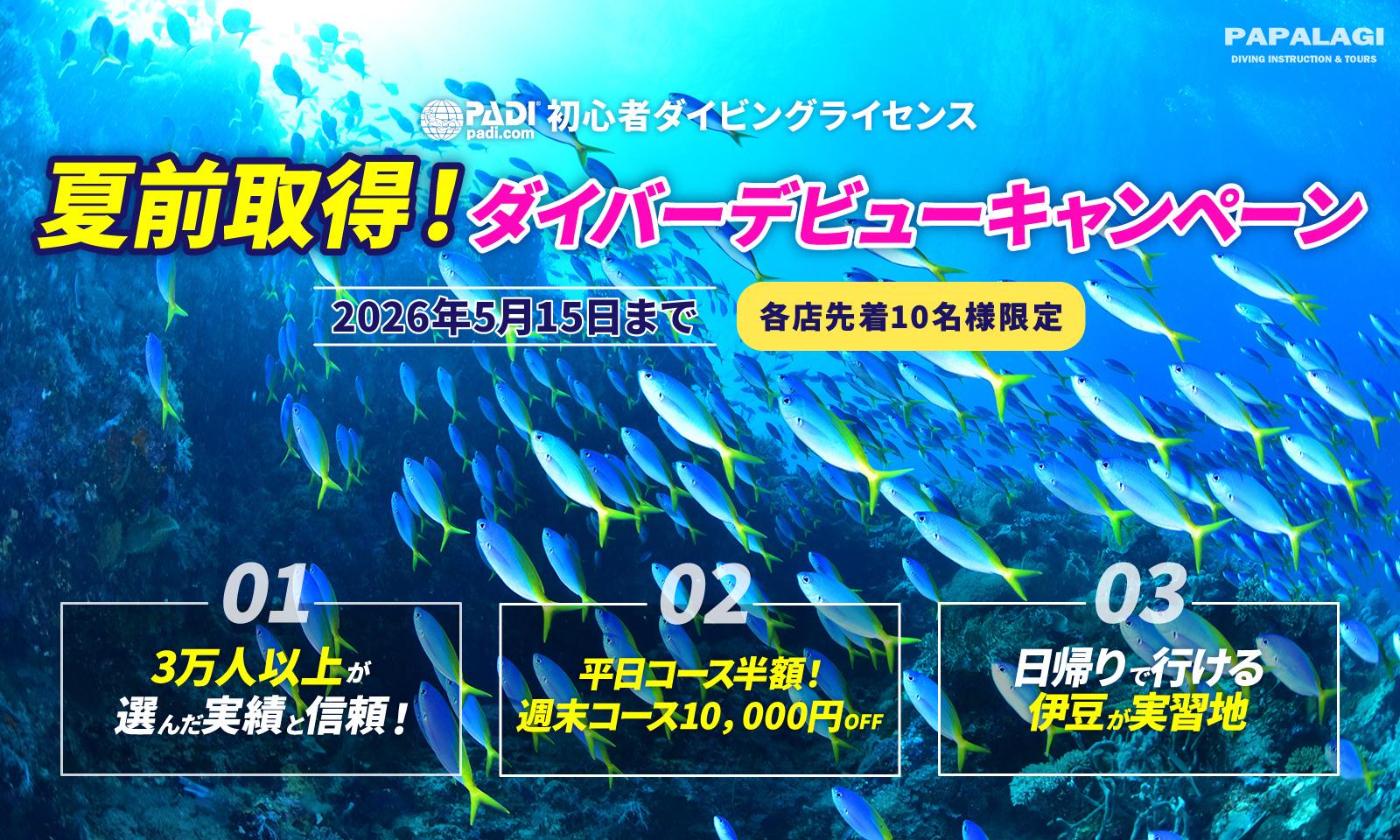 夏前取得！ダイバーデビューキャンペーン
