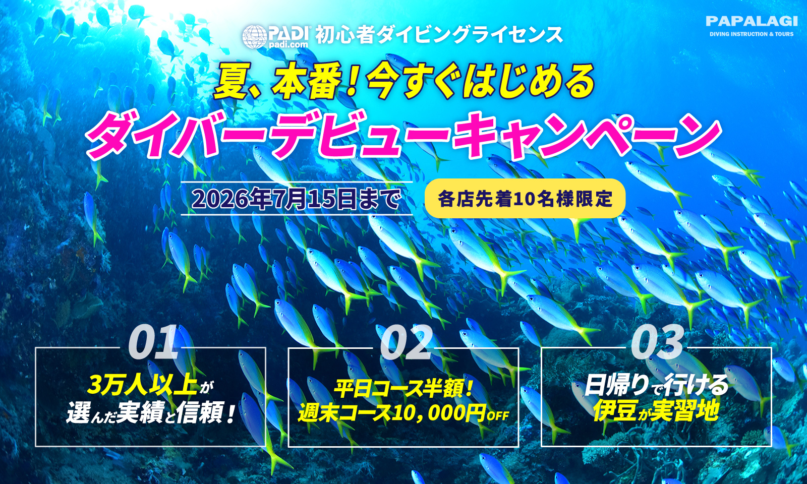 夏、本番！今すぐはじめる ダイバーデビューキャンペーン | パパラギ