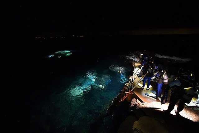 秋の浜年越しナイトダイブ