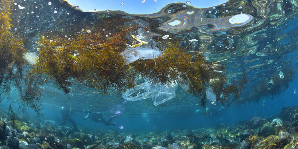 水面のビニールゴミ