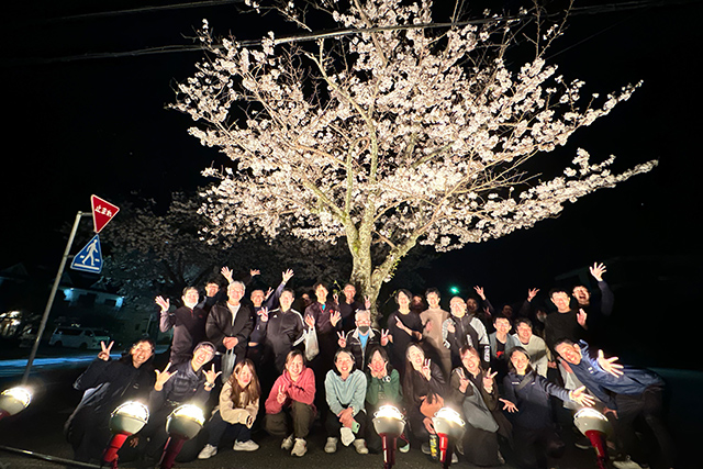 夜桜集合写真2023