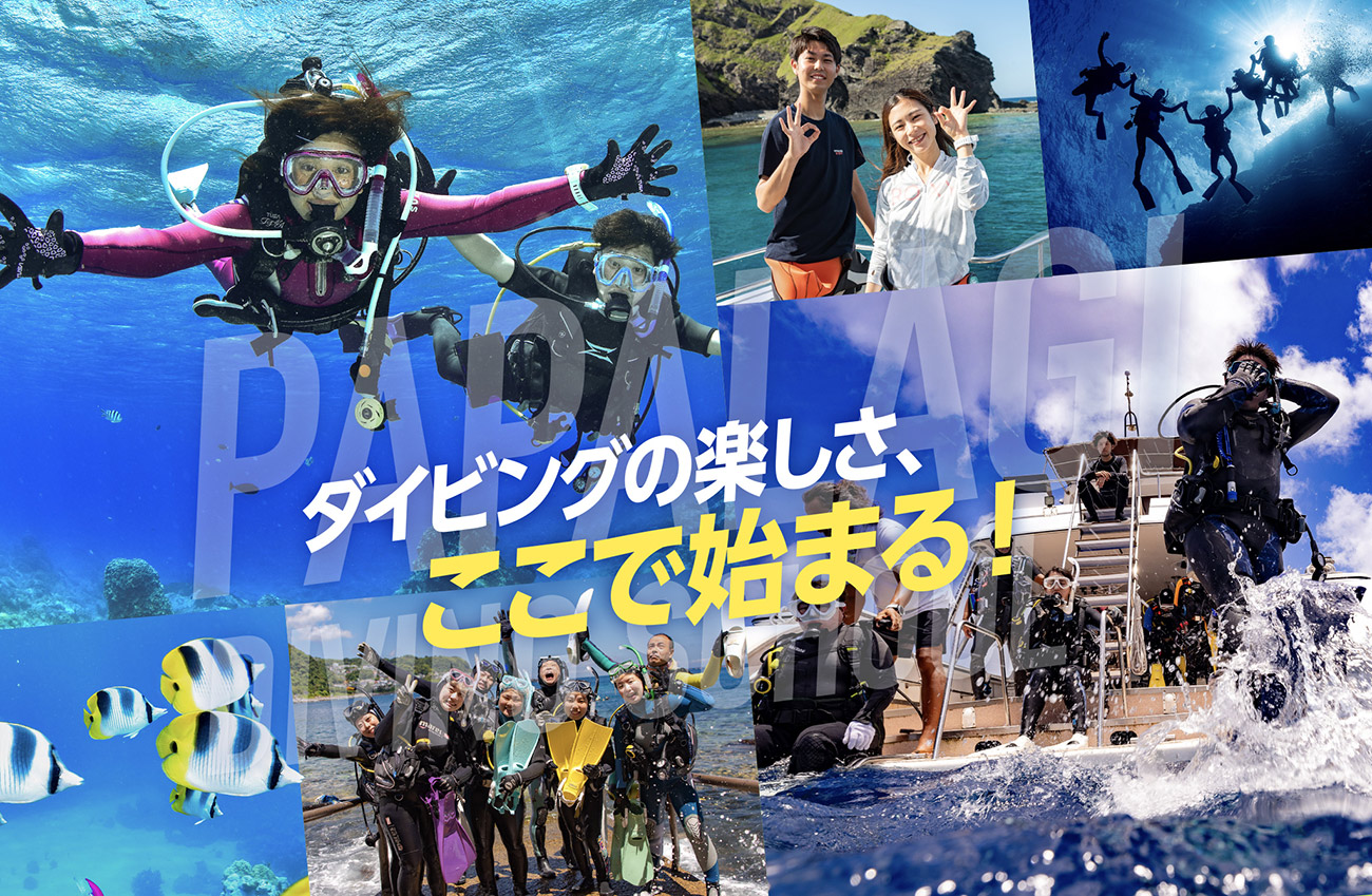 パパラギのサポート | パパラギダイビングスクールでダイビング