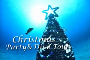 クリスマスパーティー&ダイブ