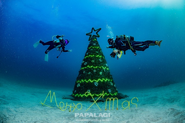 水中クリスマスツリー