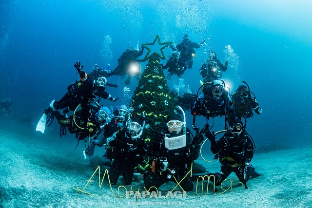 水中クリスマスツリーと集合写真