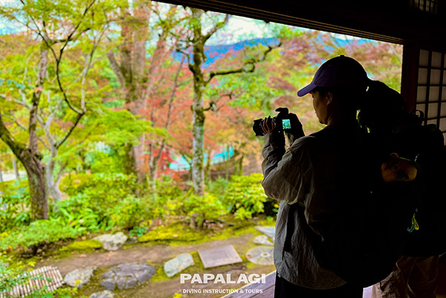 良い写真のコレクションが増えそうなスポット