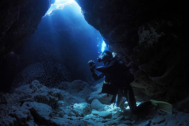 太陽の光りがスポットライトのように照らす、幻想的な水中世界
