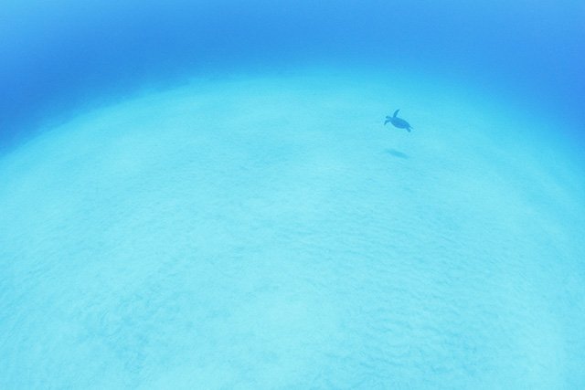 真っ白な砂地に癒される