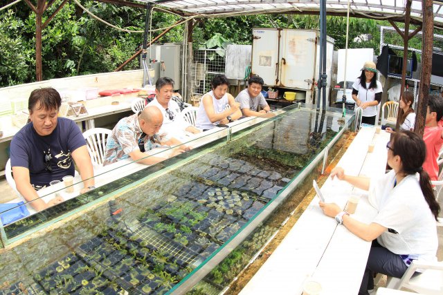 みなさん真剣に苗づくり