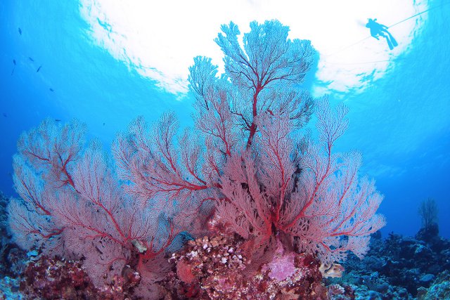 日本最南端 波照間島
