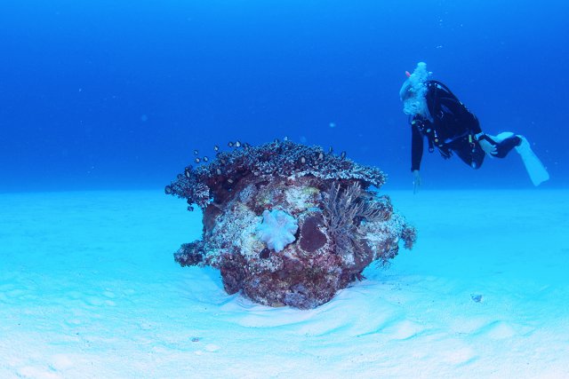 穏やかな癒しの真っ白な砂地