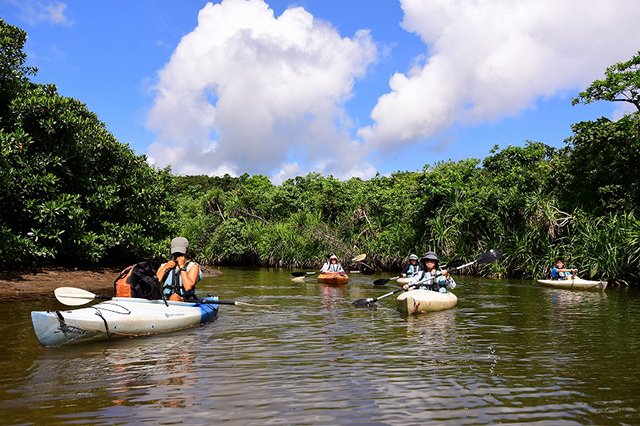 大自然の中でカヤック
